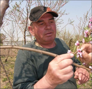 Виктор Лускало из села Сосенка на Винниччине разводит шмелей. Они вылетают из тростин при температуре ниже, чем пчелы