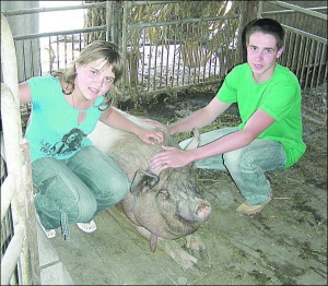 Владимир Биленький (справа) с сестрой Татьяной возле свиньи Рыжухи. Свиноматка скоро должна опороситься