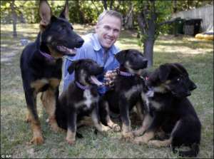 Джеймс Симингтон и пятеро щенков — генетические копии овчарки Трекра, умершей два месяца тому назад. Старшему Трасту (слева) — полгода