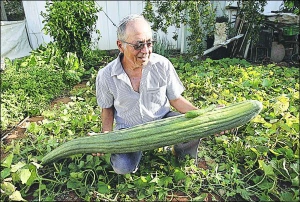 Израильский огородник Ицхак Яздантана держит огурец-рекордсмен, который вырос у него на грядке