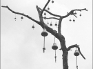 Керамические колокольчики для сухого дерева на парковой аллее сделала подруга скульптора Лиза Портнова
