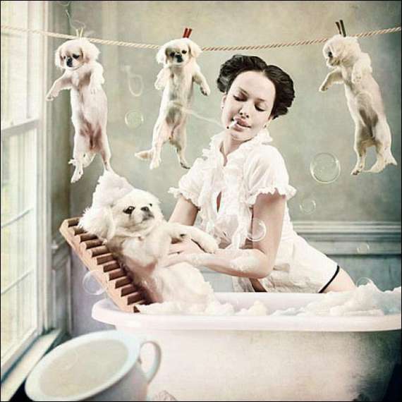 Фото ”Банный день” сделано в 2008 году. Модель американского журнала ”Плейбой” Даша Астафьева позирует с собачкой Читой