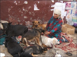 Галина Кашиянова вместе со своими собаками на Андреевском спуске в Киеве просит милостыню. У женщины есть квартира на Троещине, но вместе с 30 собаками живет  в брошенном  доме напротив Андреевской церкви