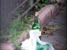 Бутылка из-под красного вина марки ”Инкерман” стоит рядом с белым пакетом во дворе экс-нардепа Виктора Лозинского. Их никто не убирает