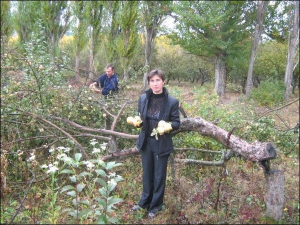 Оксана Холява с мужем Анатолием собирают яблоки со срезанных весной деревьев в саду села Комаривцы Барского района