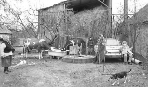  Ніна Шепель (ліворуч)  із села Деньги Золотоніського району Черкаської області вигнала двох корів напувати до ванни. Має їх найбільше у селі — п’ять. Поруч стоїть її донька з онуком. Онука Альона гойдається на гойдалці