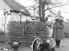 Листоноша Віра Келіберда виходить із хати в українському костюмі. Колонку з водою вона сховала за плетеним тином з глиняними глечиками та горщиками. Подвір’ям гуляє індик