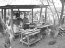 Ольга Завацька на польовій кухні під навісом варить у казанах картоплю для свиней