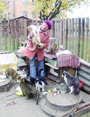 Черкащанка Галина Колесникова  годує котів у дворі будинку. У вісім  піал розкладає тушковане коров’яче вим’я 