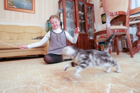 9-річна Софія Кінах грається з котеням Лізою. Кілька днів тому тварину їй подарував батько — нардеп-”регіонал” Анатолій Кінах. Разом із матір’ю Мариною, батьком і нянею Оленою дівчинка живе на державній дачі в Кончі-Заспі під Києвом