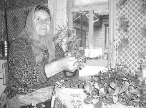 Любовь Нестройна из села Набережное на Полтавщине ощипывает ягоды с ветвей барбариса. Говорит, его сок помогает при простуде