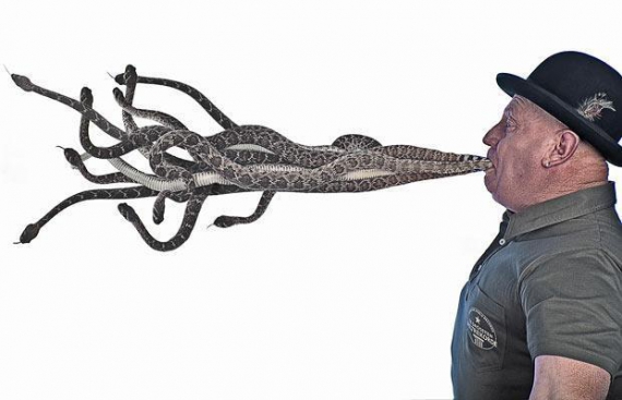 Одиннадцать гремучих змей сумел удержать во рту за хвост Джеки Бибби в течение 10 секунд в декабре прошлого года.