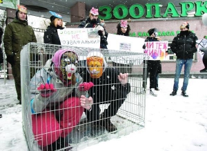 20 грудня біля входу до Київського зоопарку двоє активістів у масках звірів залізли в клітку. Так зображували поведінку тварин у замкненому просторі