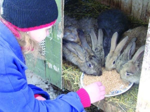 20-летняя Валерия Линник кормит кролей пшеницей. Для животных закупили тонну зерна