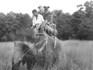 Джоан та її пес Оскар (у кошику позаду візника) їдуть на слоні в Непалі