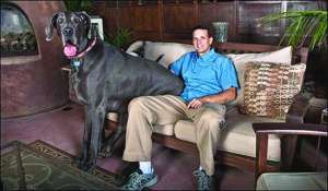 Дейв Насер из американского штата Аризона хочет зарегистрировать свою собаку Джорджа в Книге рекордов Гиннеса
