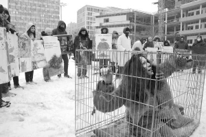 Девушка изображает зверя, которого убьют ради меха, в пятницу возле Дворца спорта в Киеве. В тот день студенты пикетировали виставку-продажу меха