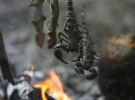 Скорпионов жарят на открытом огне. Их сырое мясо - ядовитое. После приготовления оно становится похоже на курятину