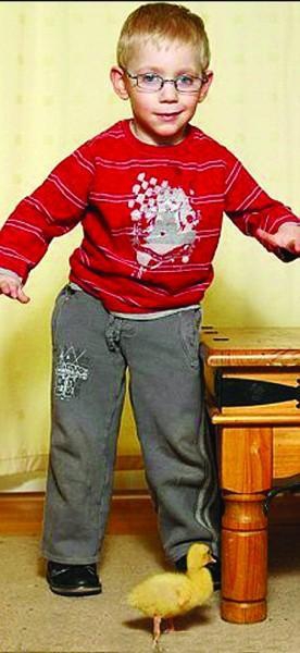 Британець Фінлі Ломакс з каченям Мінг-Мінг. Хлопчик народився з паралізованими ногами