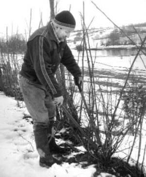 Богдан Брылинский обрезает ветви на кустах смородины. Говорит, если оставить много молодых ветвей, куст станет густым. Тогда ягода станет мелкой