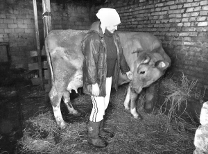Ирина Снисаренко гладит свою корову. Она ежедневно дает 25 литров молока. Ветеринары заставляли зарезать животное