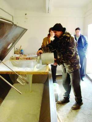 Виктор Василенко сливает молоко в охладитель. Утром привез на приемный пункт сельхозпредприятия “Заячкивка” 122 литра молока