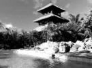 Миллиардер Ричард Бренсон отдыхает на трехкилометровом острове, который он выкупил у властей США