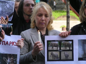 Участница траурной демонстрации возле Киевской городской государственной администрации держит фотографии полного слона Боя — до диеты и исхудалого — после нее