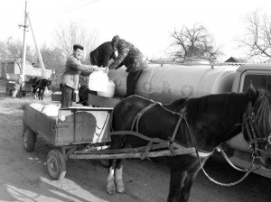 Анатолій Ковалишин (стоїть на возі) переливає молоко з пластикових бочок до молоковоза Шаргородського заводу. Молоко в селян збирають підводами. Це береже дороги від розбивання