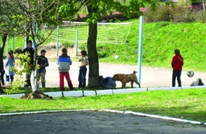 Школярі грають у футбол на стадіоні Хмельницької міської школи №25. За м’ячами бігають собаки, яких тут вигулюють місцеві мешканці