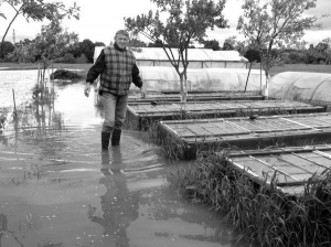Иван Ильницкий во вторник возле подтопленных теплиц в селе Ракошино Мукачевского района на Закарпатье. Выращивал в них огурцы, помидоры и капусту. Вода все уничтожила