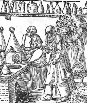 Варіння лікарських трав. Малюнок із трактату ”Про зілля”, виданого у Кракові 1556 року