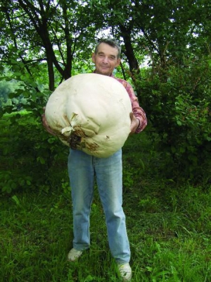 Михаил Мартынюк из города Ладыжин Винницкой области держит 15-килограммовый гриб-дождевик. Оставил его у подъезда, чтобы посмотрели соседи. Дети растоптали гриб