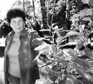 Мария Галанюк показывает уцелевшее деревце райской яблони в сквере около своего дома на улице Мира в Тернополе. Магнолии, росшие рядом, кто-то украл после первого цветения