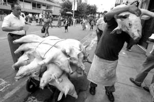 Поросячьи туши торговец заносит в собственной  мясной магазин в центре Лимы, столицы латиноамериканской страны Перу. Скот режут на бойне на окраине города и продают оптом. В розницу свиную вырезку сбывают по 25 солей за килограмм, то есть 70 гривен. Бедро
