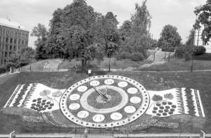 Квітковий годинник у вигляді українського вишитого рушника на майдані Незалежності в Києві відкрили 27 липня. Висадили 50 тисяч квітів