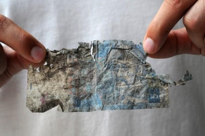 Пять гривен, найденные на газоне, сохранились на две трети начальной площади банкноты. Такую банки должны принимать на обмен