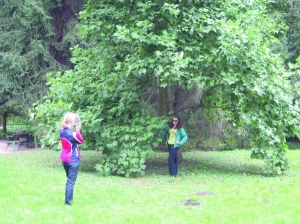 Туристки  фотографуються біля тюльпанового дерева в уманському  дендропарку ”Софіївка”. Його листя часто обривають  для гербаріїв через  незвичну форму 