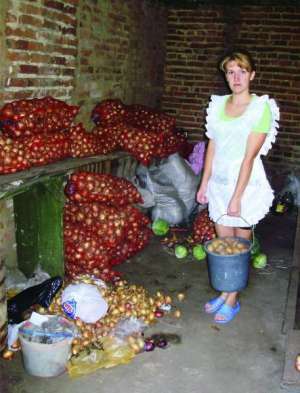 Помічниця кухаря Кам’янської школи №2 Юлія Костенко принесла до  складу  відро картоплі. Бульби висипає в засіки у погребі,  цибулю — в  сітки 