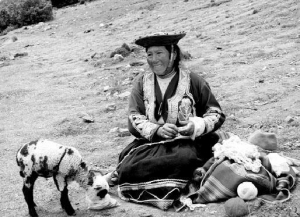 Перуанка пасе вівці. З їхньої вовни виготовляє нитки і в’яже шапки. Продає їх по два долари. Так заробляють на життя більшість місцевих