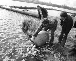 Мисливствознавець Валерій Курганський (у центрі з бочкою) випускає рибу в Осташівський став в Умані