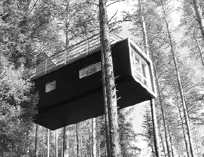 Шість готелів побудували на деревах у  шведському селі Гарадс, за 60 кілометрів від Полярного кола