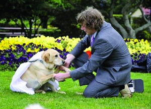 Австралієць Джозеф Гуїзо тримає за лапи свою собаку на кличку Хані під час весільної церемонії у парку міста Тувумба