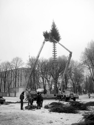 14 грудня працівники комунального підприємства ”Вінницязеленбуд” у Центральному парку встановлюють головну ялинку Вінниці