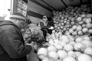 Привезену з Польщі капусту перебирають і фасують на столичному ринку Фермер