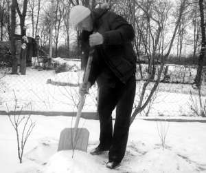 Віктор Гоменюк із Вінниці нагортає купи снігу під ранніми деревами