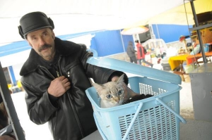 Чоловік купує кота на Куренівському зооринку столиці 28 грудня