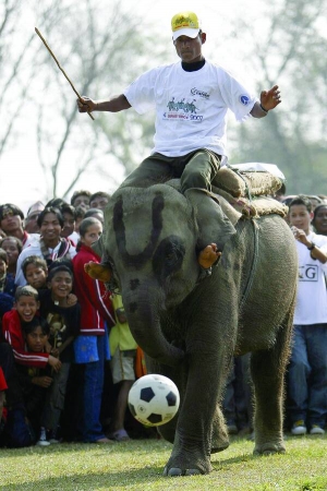 Непалець Марк Лінау їде верхи на слонисі Боні