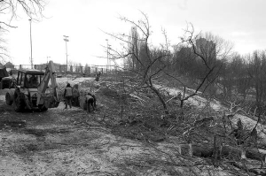 Робітники прибирають у понеділок спиляні дерева на Черепановій горі у Києві