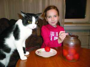 Ліля Дорошенко з міста Красноармійськ на Донеччині годує кота Даню маринованими помідорами
